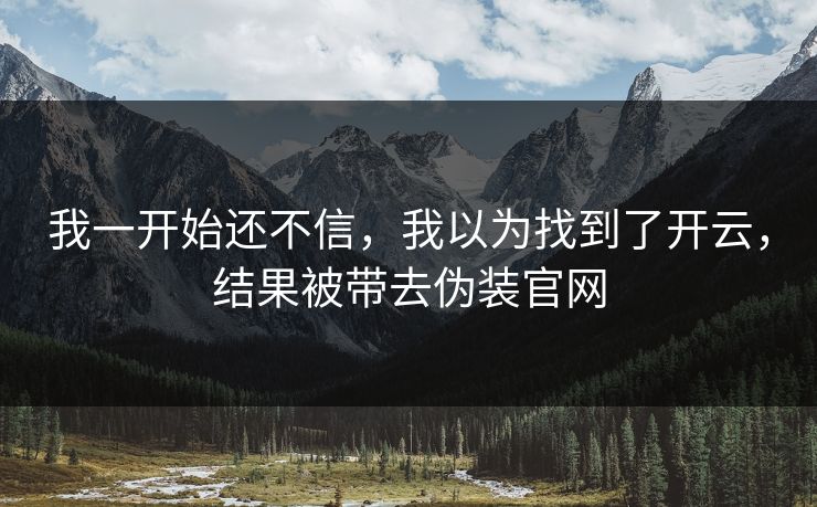 我一开始还不信，我以为找到了开云，结果被带去伪装官网