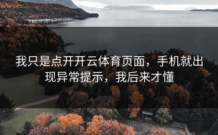 我只是点开开云体育页面，手机就出现异常提示，我后来才懂