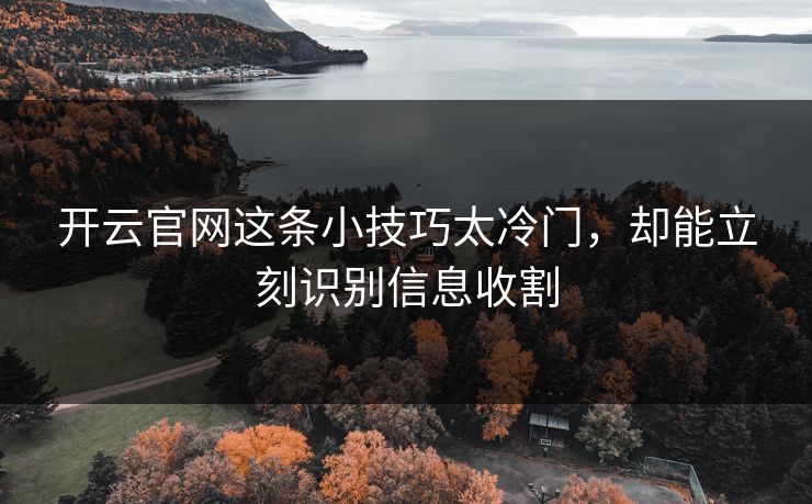 开云官网这条小技巧太冷门,却能立刻识别信息收割 开云官网这条小技巧太冷门,却能立刻识别信息收割